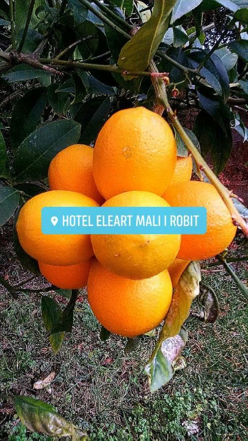 Eleart Aparthotel Golem  Exteriör bild